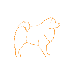 Animals Dogs American Eskimo Dog Stencil Svg Vector, Free Vectors File